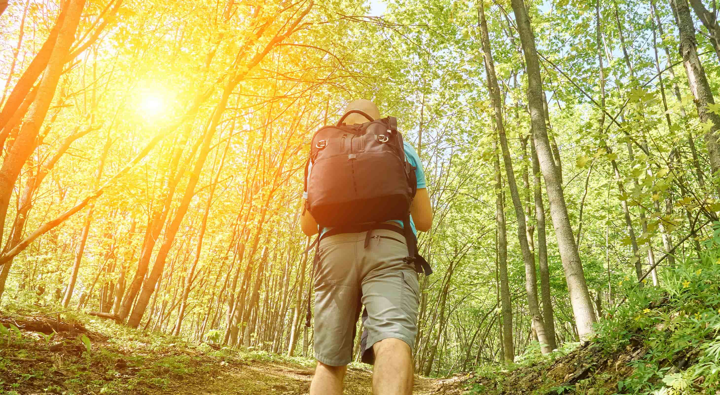 Solo male hiker in the woods